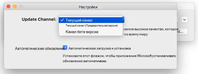 Как отключить автоматическое обновление Microsoft Word на Mac