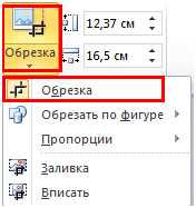 Как использовать обрезку и кадрирование изображений в Microsoft Word