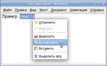 Как отменить действие копирования или вставки в Microsoft Word