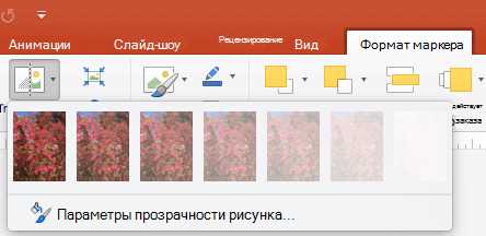 Как сделать часть изображения прозрачной в Microsoft Word