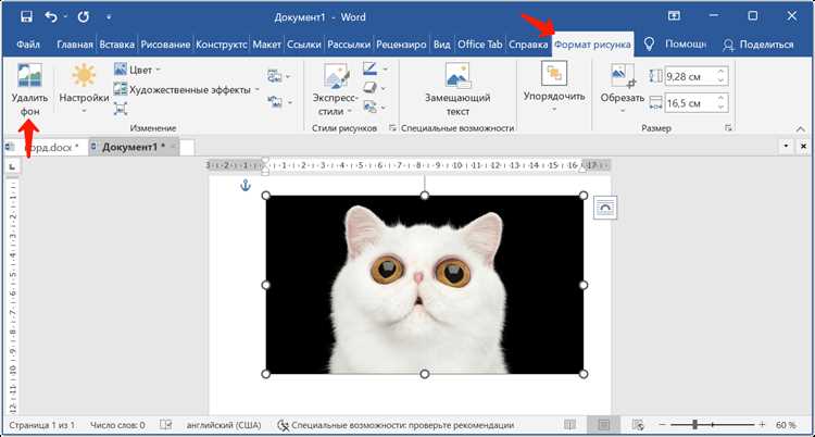 Проверка полного удаления фона изображения в Microsoft Word