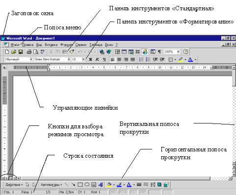 Оформление текста в Microsoft Word