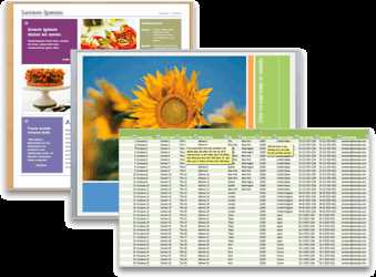 Шаблоны, стили и экономия времени: как использовать Microsoft Word эффективно.