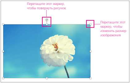 Творите шедевры: основы вставки изображений в Microsoft Word